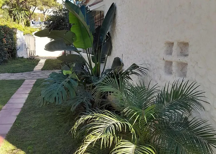 Casaalconada * Marbella